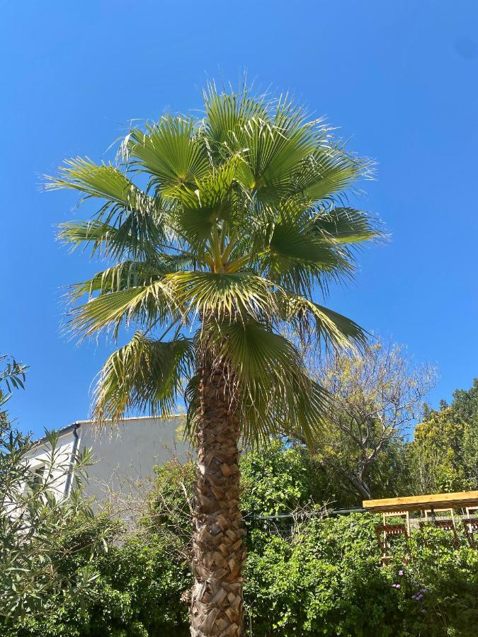 Gite Le Palmier - Perfectly Located Cosy Studio With Private Garden Puissalicon Exterior photo