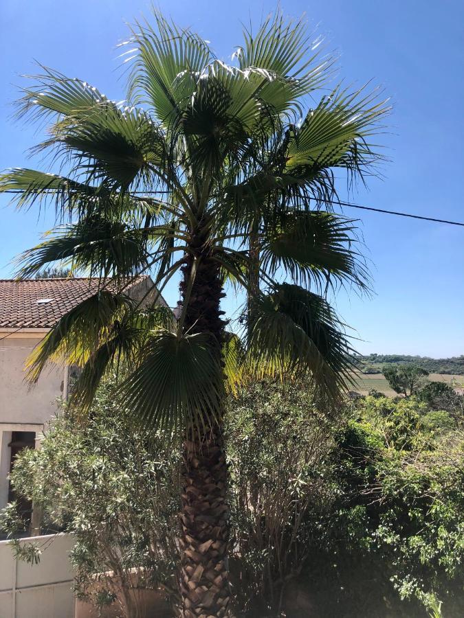 Gite Le Palmier - Perfectly Located Cosy Studio With Private Garden Puissalicon Exterior photo